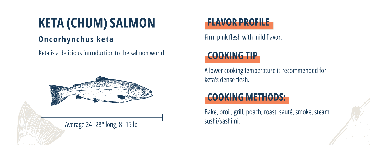 atlantic salmon keta salmon infographic