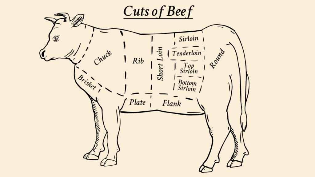 Cutsof Beef Diagram x  x