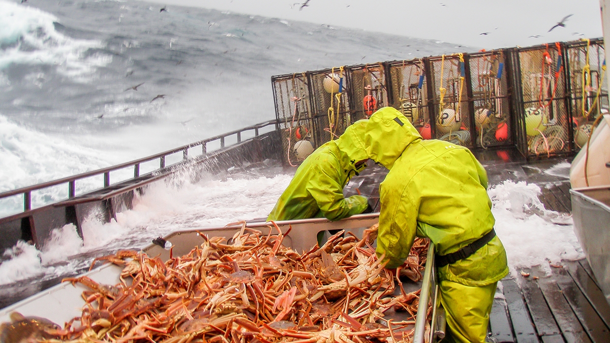 questions about crab boat