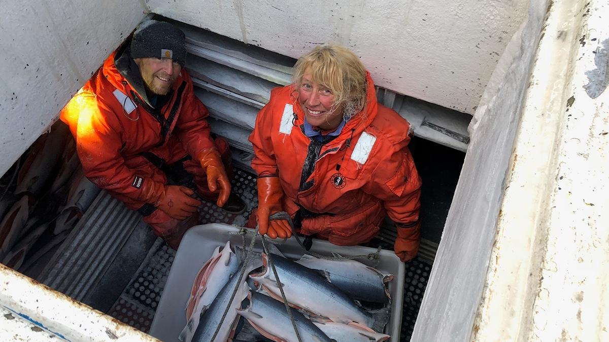 coho salmon offloading