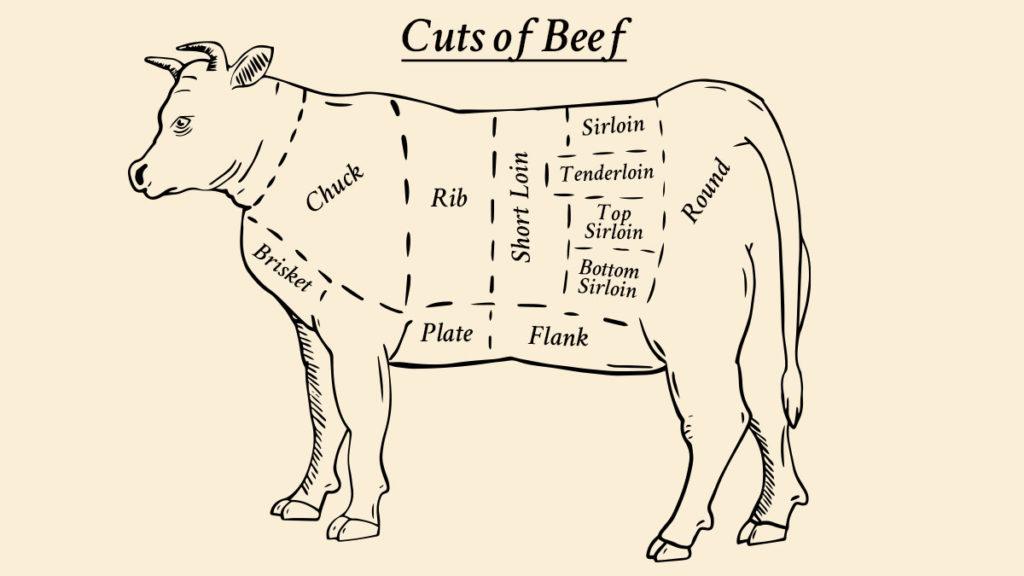 CutsofBeefDiagram