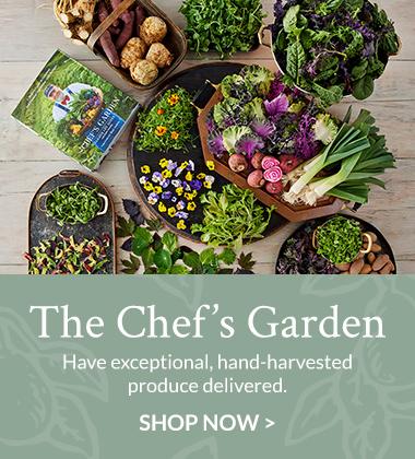 The Chefs Garden   Vegetables Collection Banner ad