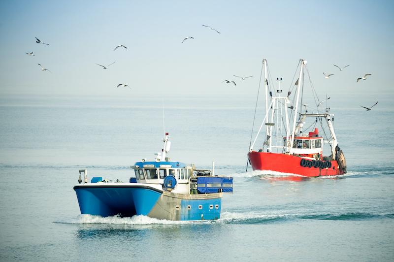 A photo of frozen fish trawlers at sea.