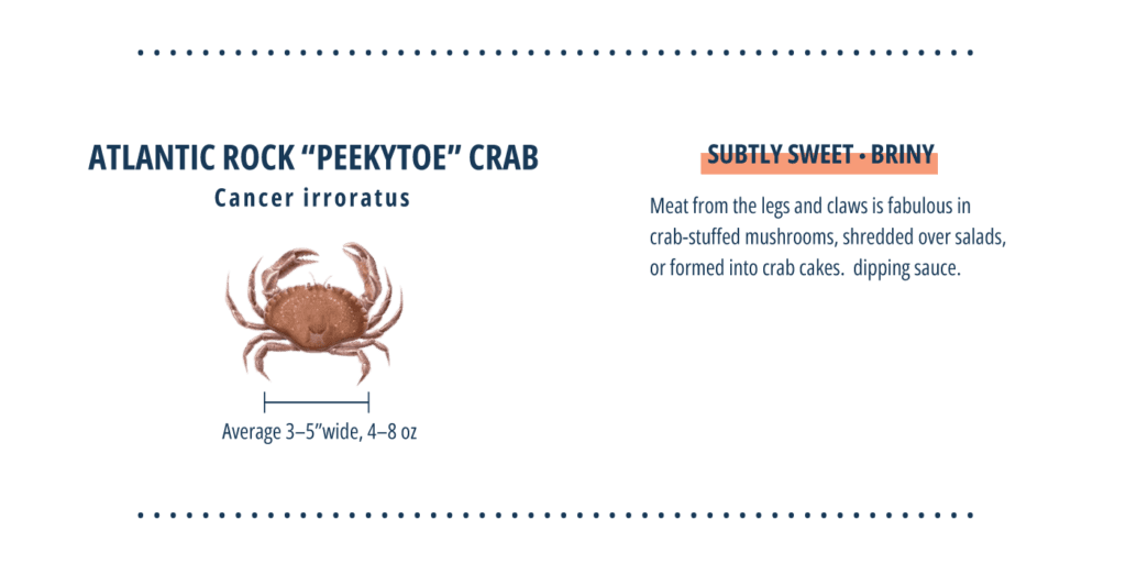 Types of crab, Atlantic "peekytoe" crab infographic.