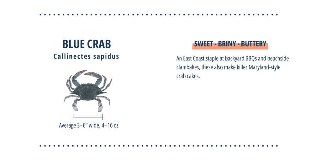 Types of crab, blue crab infographic.