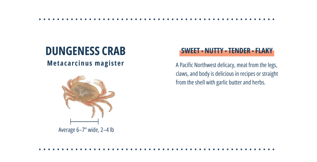 Dungeness crab infographic.