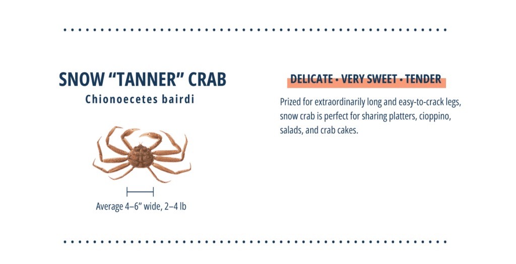 Tanner crab infographic.