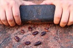 https://www.vitalchoice.com/blog/wp content/uploads///grinding cacao pods with stone