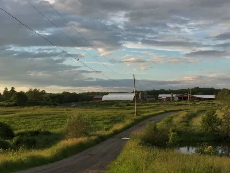 Responsibly raised pork, Maine farm