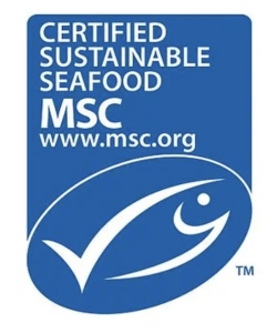 World Oceans Day showing the MSC blue fish label.