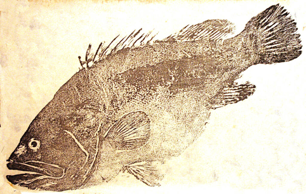 https://www.vitalchoice.com/blog/wp content/uploads///fish art gyotaku x