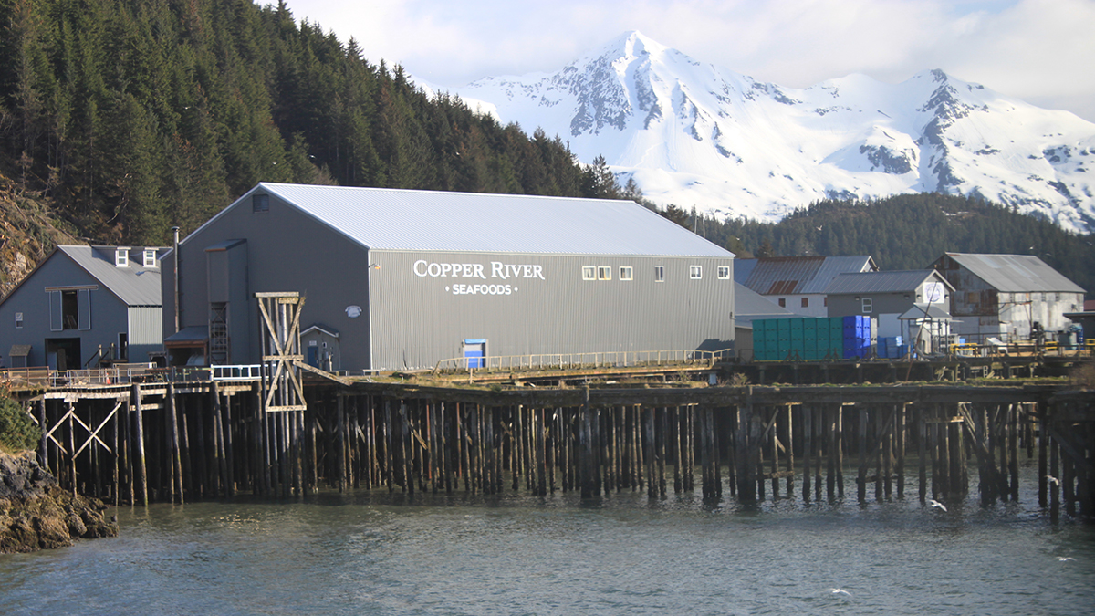 Copper River Seafoods: Dive Into Alaskan Halibut Fishing | VitalChoice Blog