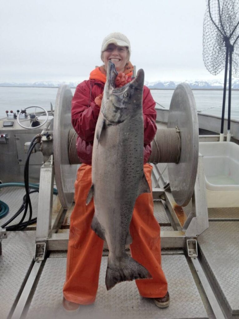 copper river king salmon season copper river seafoods kara holding king salmon